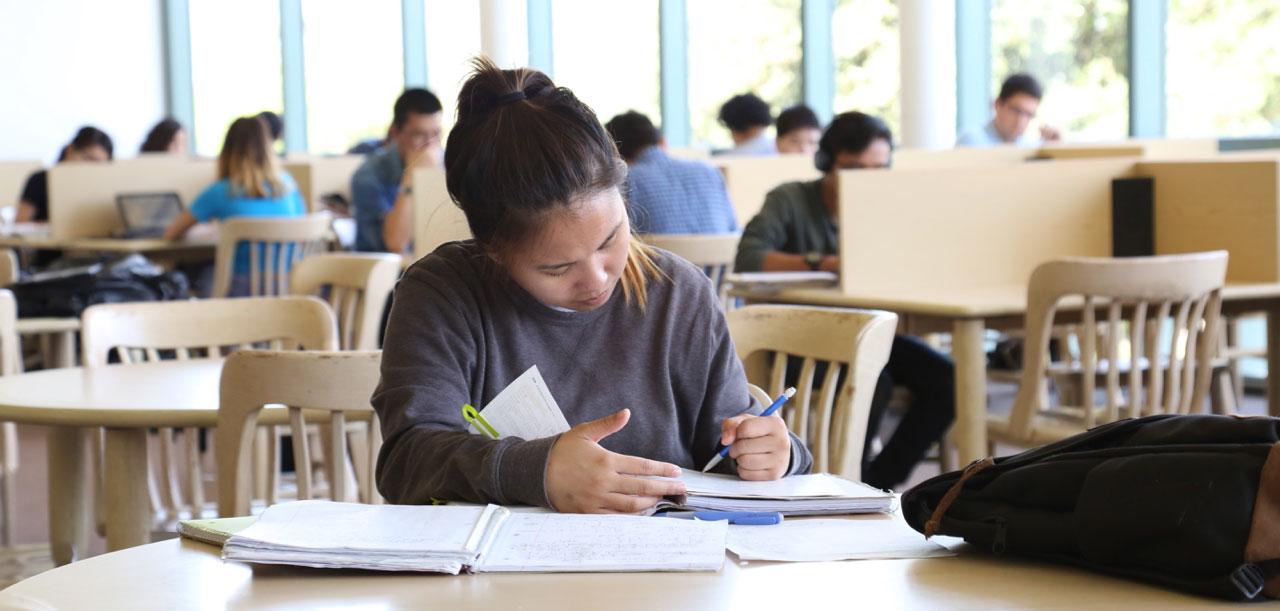 Student does research in the library